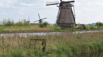 Rijksdienst voor het Cultureel Erfgoed: Jong, Nanette de