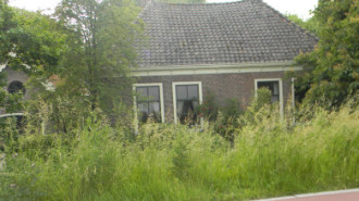 WikiMedia
