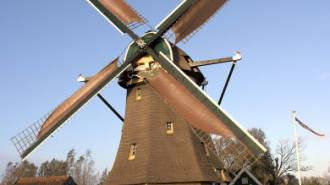 WikiMedia