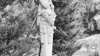WikiMedia