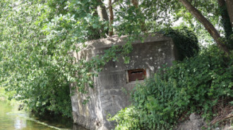 WikiMedia