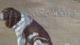 Rijksdienst voor het Cultureel Erfgoed: Wal, A.J. van der