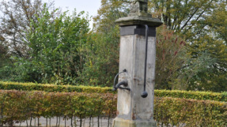WikiMedia
