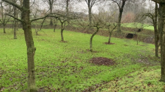 Rijksdienst voor het Cultureel Erfgoed: Bogers, Guido