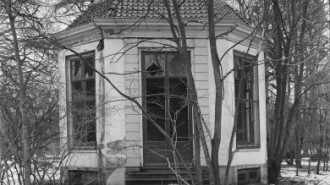 WikiMedia