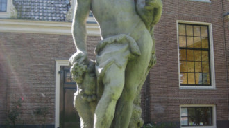 WikiMedia