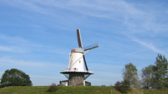 Rijksdienst voor het Cultureel Erfgoed: Terpstra, Frank