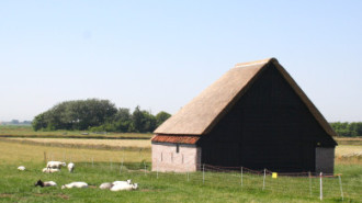 WikiMedia