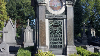 WikiMedia