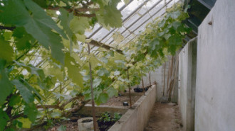 Rijksdienst voor het Cultureel Erfgoed: Heins, IJ.Th.