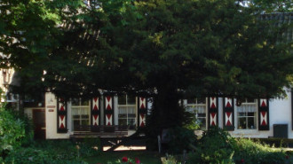 WikiMedia