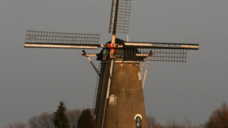 WikiMedia