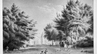 Rijksdienst voor het Cultureel Erfgoed: Galen, P. van