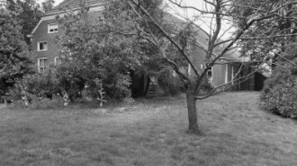 Rijksdienst voor het Cultureel Erfgoed: Schollen, T.