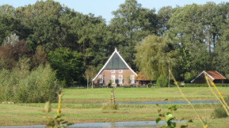 WikiMedia