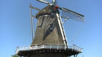 WikiMedia