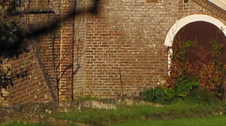WikiMedia