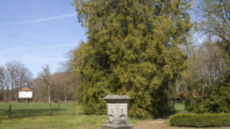 Rijksdienst voor het Cultureel Erfgoed: Sar, Wouter van der