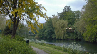 Rijksdienst voor het Cultureel Erfgoed: Wal, A.J. van der