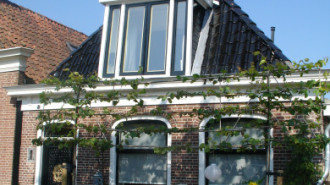 WikiMedia