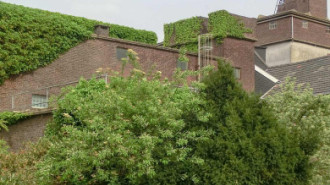 Rijksdienst voor het Cultureel Erfgoed: Lochem, S. (Sandra) van - Wel, van der