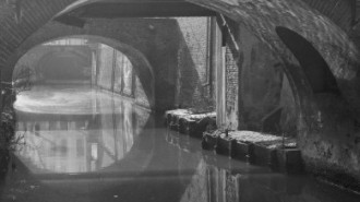 Rijksdienst voor het Cultureel Erfgoed