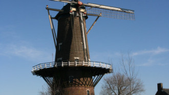 WikiMedia