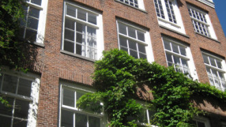 WikiMedia