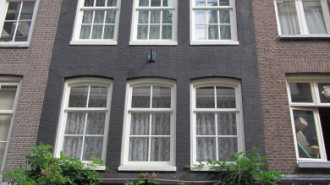 WikiMedia