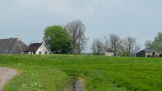 WikiMedia