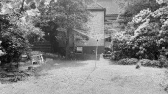 Rijksdienst voor het Cultureel Erfgoed: Wal, A.J. van der