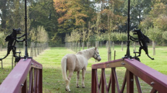 Rijksdienst voor het Cultureel Erfgoed: Roderburg, K. (Kris)