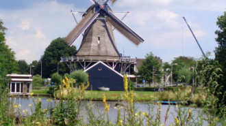 WikiMedia