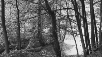 Rijksdienst voor het Cultureel Erfgoed: Wal, A.J. van der