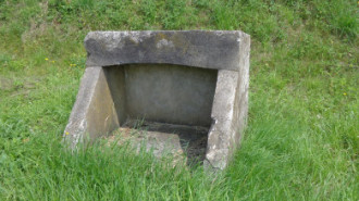 WikiMedia