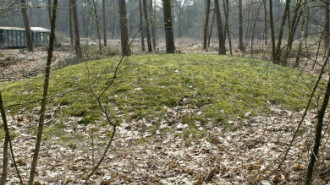 WikiMedia