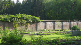 WikiMedia