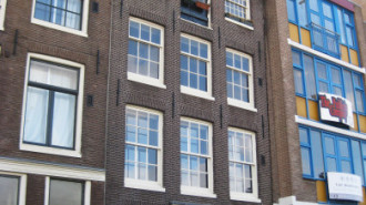 WikiMedia