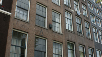 WikiMedia