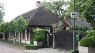 WikiMedia