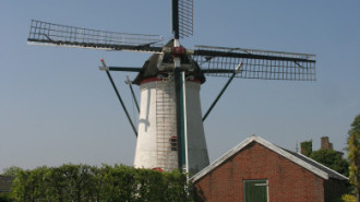 WikiMedia