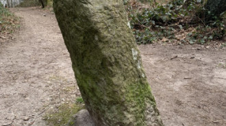 Rijksdienst voor het Cultureel Erfgoed: Bogers, Guido