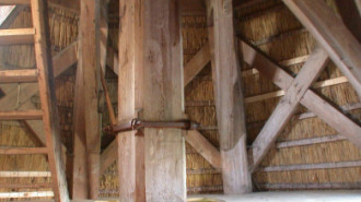 Rijksdienst voor het Cultureel Erfgoed: Terpstra, Frank