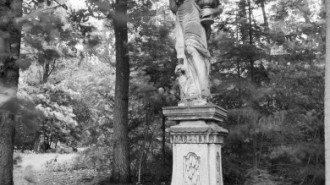 Rijksdienst voor het Cultureel Erfgoed: Wal, A.J. van der