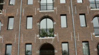 WikiMedia
