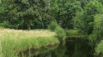 Rijksdienst voor het Cultureel Erfgoed: Brinkkemper, O. (Otto)