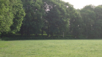 WikiMedia