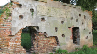 WikiMedia