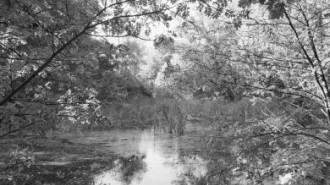 Rijksdienst voor het Cultureel Erfgoed: Koning, de-Koning, J.P. de