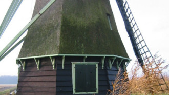 Rijksdienst voor het Cultureel Erfgoed: Terpstra, Frank